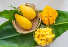Can You Eat Mango Every Day? Benefits, Side Effects, and Things to Know