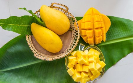 Can You Eat Mango Every Day? Benefits, Side Effects, and Things to Know