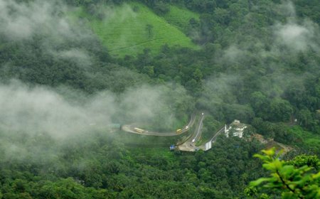 Wayanad – The Green Paradise of Kerala