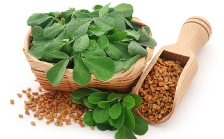 Is Fenugreek Safe During Pregnancy? Benefits and Important Precautions